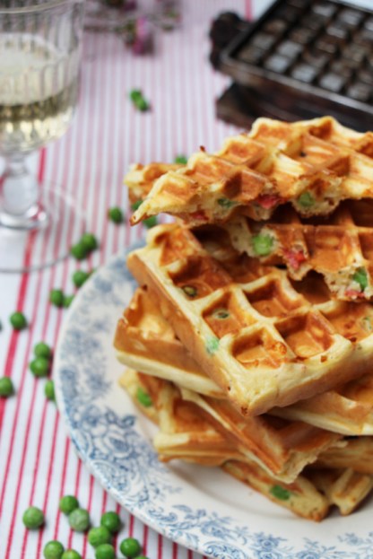 Crédit photos : S. Zakri