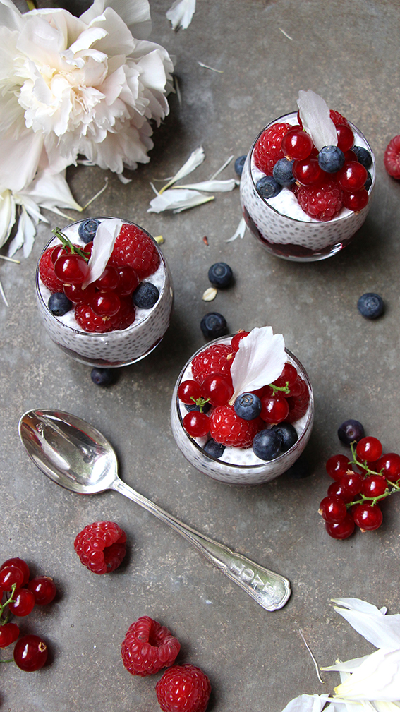 Crème de chia et sa gelée de fruits rouges – Devorezmoi