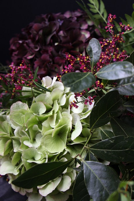 croisssant-devorezmoi-01