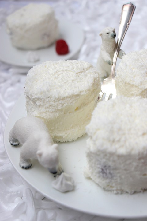 merveilleux-framboises-litchis-devorezmoi-03