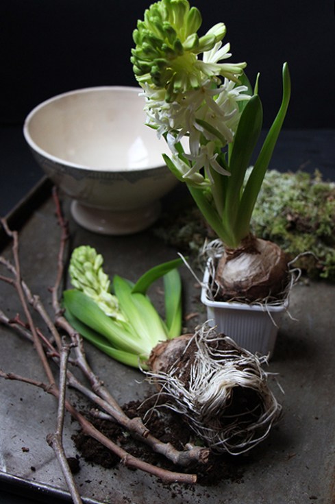 bol-de-jacinthes-devorezmoi-01