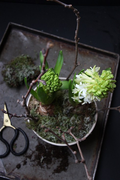 bol-de-jacinthes-devorezmoi-04