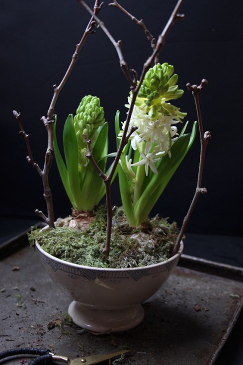 bol-de-jacinthes-devorezmoi-04