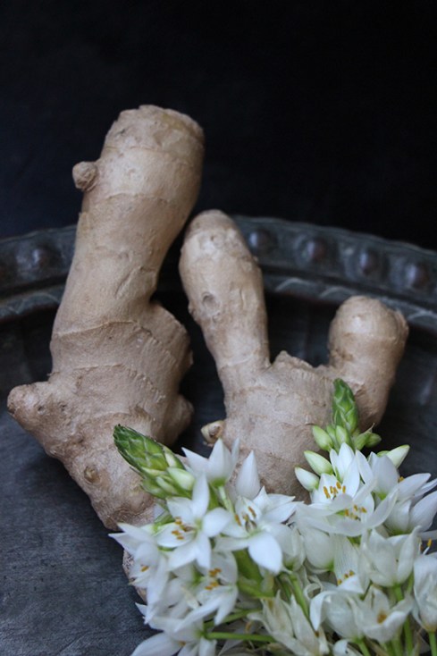 sirop-de-gingembre-devorezmoi-04