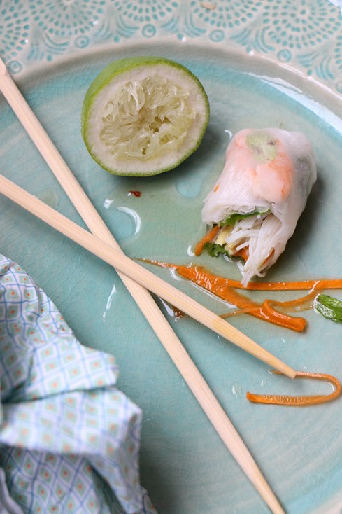 Rouleau de printemps crevette mangue - devorezmoi 10