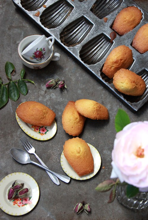 Madeleine_a_la_rose_devorezmoi_01