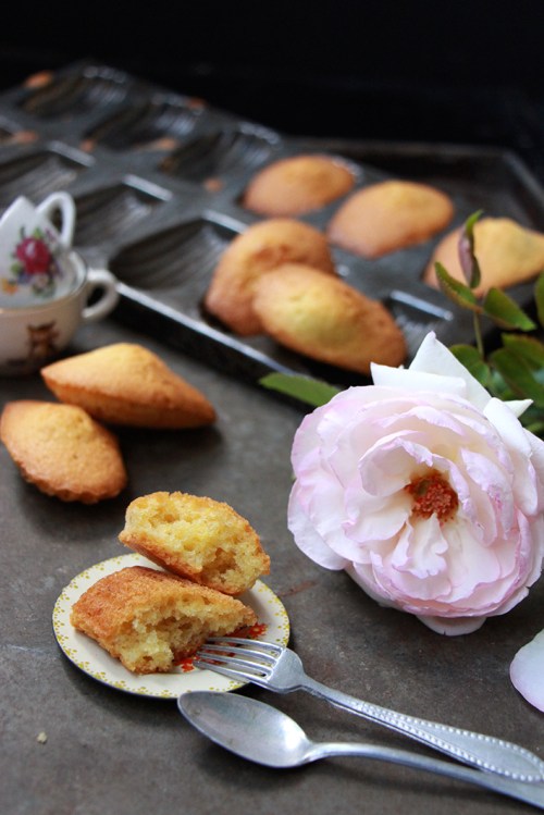 Madeleine_a_la_rose_devorezmoi_05