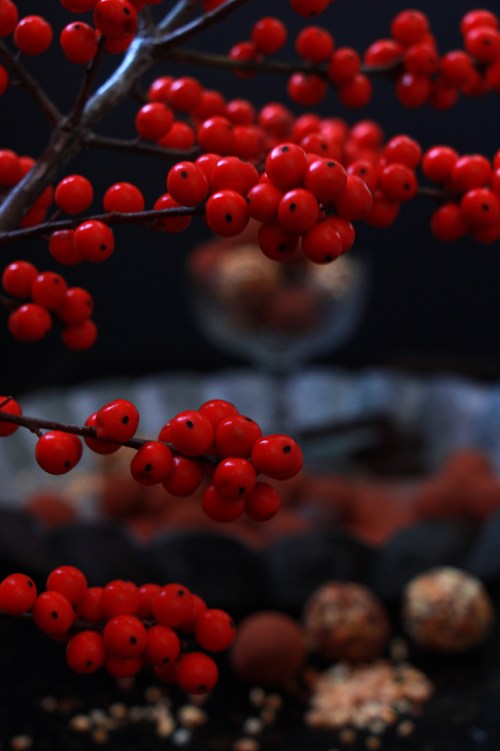 Truffes_devorezmoi_03