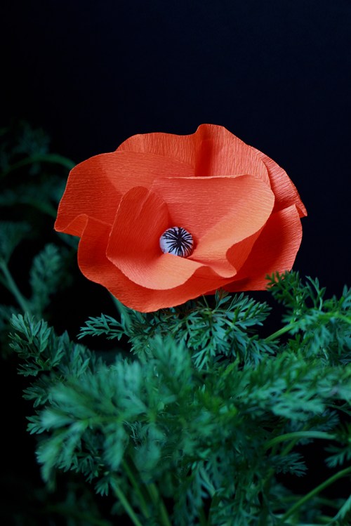 Nude_carot_cake_Devorezmoi_02