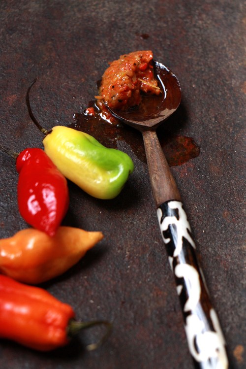 Pâte_de-piments-vegetariens_devorezmoi_05