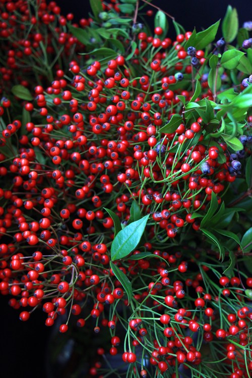 Gateau_aux_pommes_devorezmoi_03