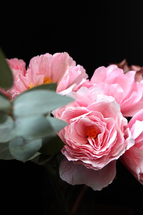 Biscuit_suedois_devorezmoi_01