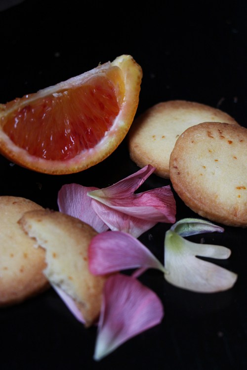 Biscuit_a_lorange_devorezmoi_07