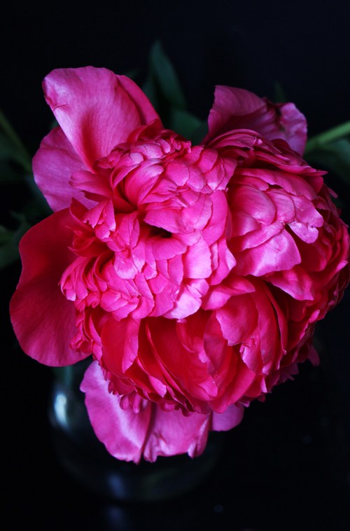 Carres_framboises_devorezmoi_03